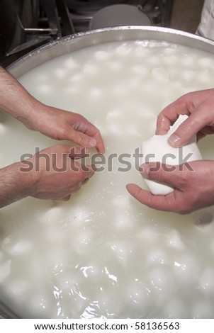 Production of mozzarella cheese