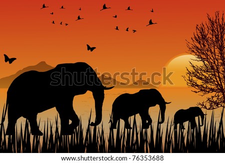 Landscape at Sunset with African elephants and flocks of birds and butterflies