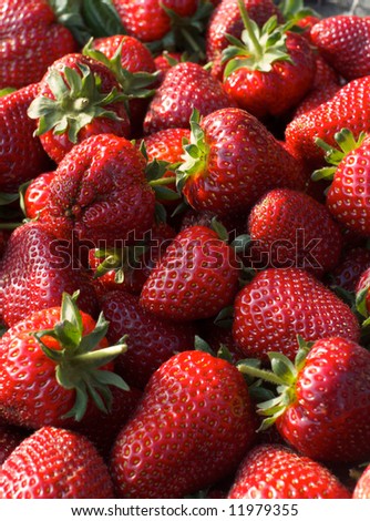 strawberry wallpaper. strawberry wallpaper
