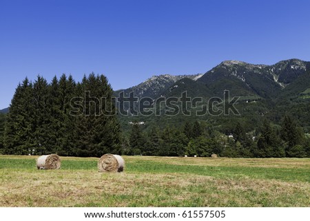 Rounded hay bales on a field with mountain and trees in the background, clear blue sky for copy space