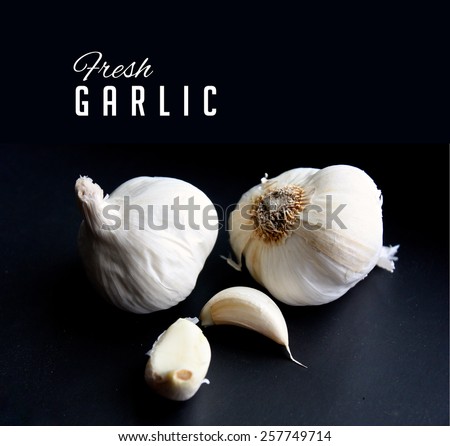 Fresh garlic with typography and copy space for ads, signage, marketing, fliers, blog, social media, supermarkets, menu, restaurant, poster, brochure, gardening, more
