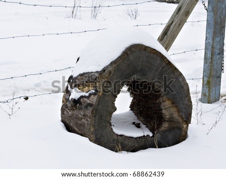 Cut piece on hollow log in the snow by barb wire fence