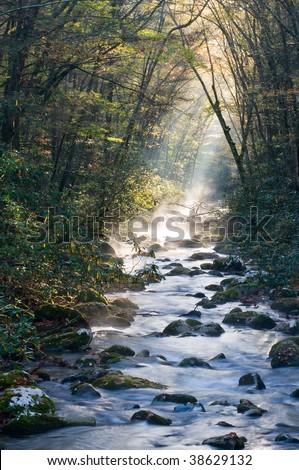 River in the Great Smoky Mountains National Park