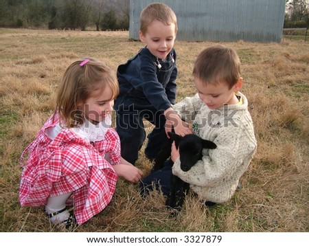 children and black lamb in a farm pasture, petting and holding it