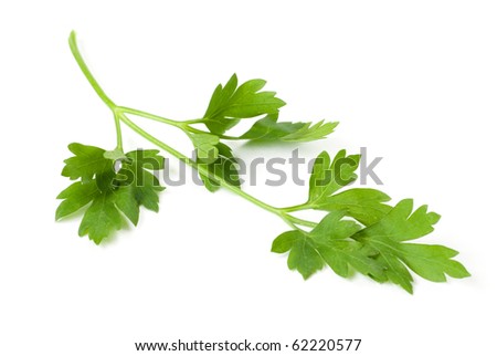 Sprigs Parsley