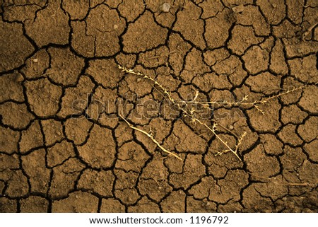 mud background of cracked mosaic clay with golden straw