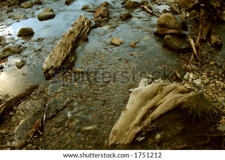 creek and downed wood in sequoia national park, california