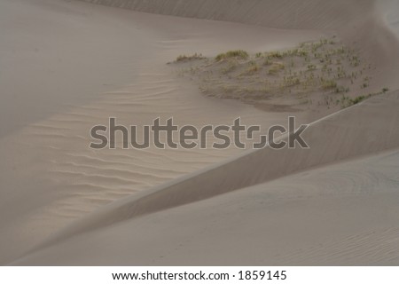 sand dune abstract from Great Sand Dunes National Park in Colorado