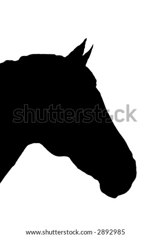 stock photo : symbol of horse head silhouette