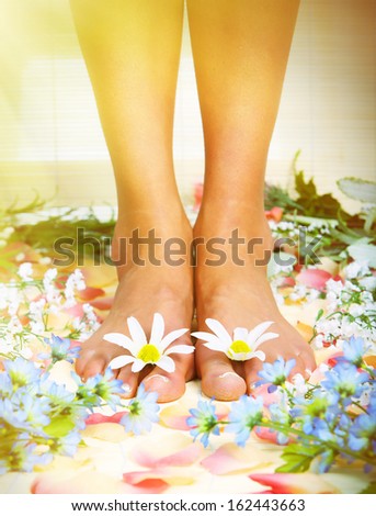 Beautiful woman feet in spa massage salon.