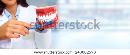 Dentist woman with teeth model. Dental health care clinic.