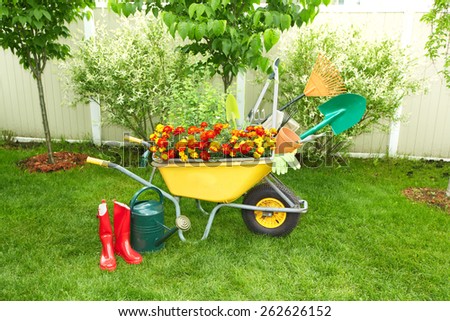 Wheelbarrow with Gardening tools in the garden.