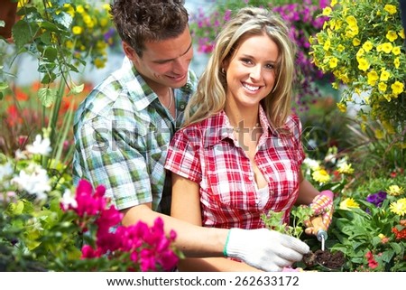 Gardening people. Couple working in greenhouse with flowers.