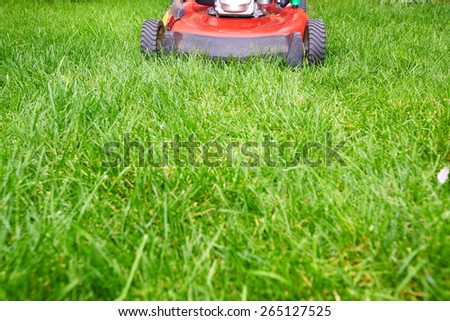 Lawn mower cutting green grass in backyard.Gardening background.