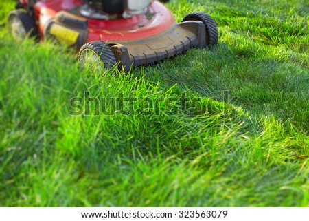 Lawn mower cutting green grass. Work in the garden.