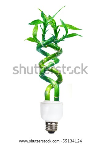 Save Energy Lamp on Energy Saving Lamp   Isolated Over White Background Stock Photo