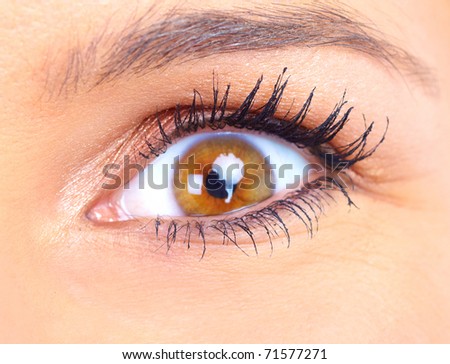woman eye. Close up, macro