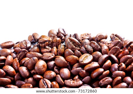 Coffee Seeds