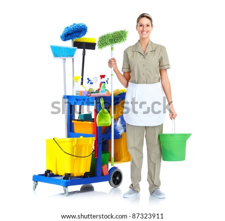 Janitor Mop