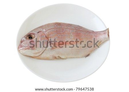 fresh cut fish on a plate