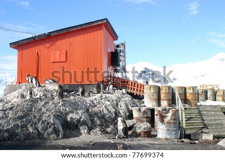 Adelie penguins in front of orange barrack and barrels with waste