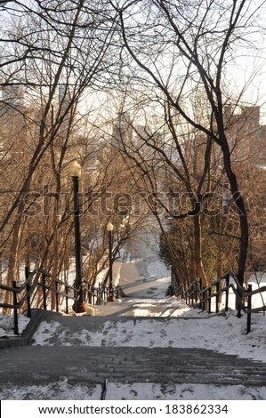 Winter trees form a tunnel over a snowy sidewalk and stairs in downtown Montreal, Quebec