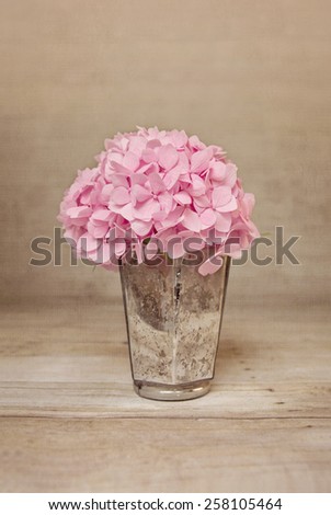 Fresh hydrangea on a textured background with retro vintage colors with copy space