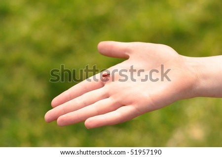child\'s hand and a bug