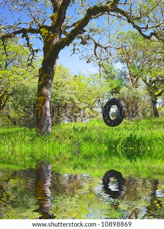Old Tire Swing in an Oak Tree in Spring Reflecting in Water