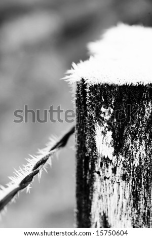 Heavy Frost on Wooden Fence Post and Wire - Black and White Photo
