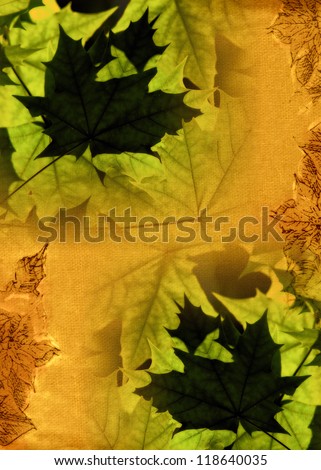 Atumnal leaves template - photo montage