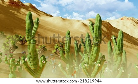 vegetation on a desert - johua tree and cacti