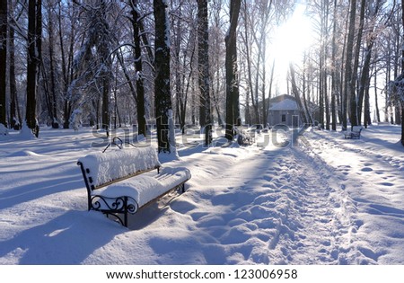 Bright frosty sunny day in snow-covered park. Snow-covered trees, alley and benches