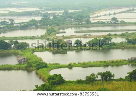 Fishing ponds and wetland area