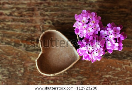 purple flowers  in a box for a gift. Soft Focus