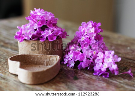 purple flowers  in a box for a gift. Soft Focus