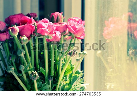 red flowers in a glass vase by the window