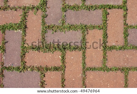 grass growing through the bricks. Nature wins.