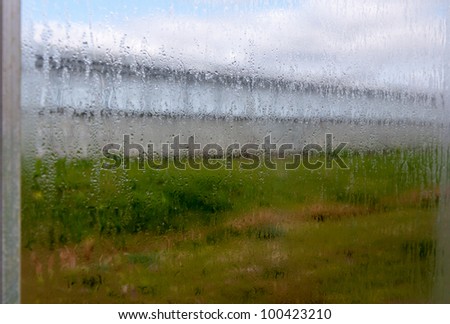 The atmosphere in the modern Dutch flower and plant nurseries is very humid. This is a closeup of the steamed windows.