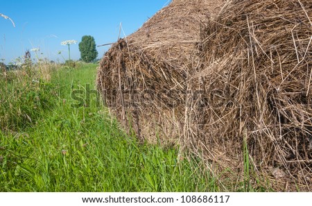 Rolls of hay on the grass at the slope of a Dutch dike