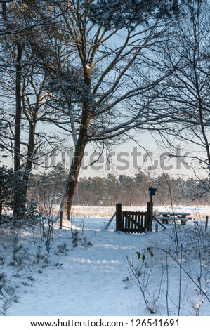 Winter forest with trees and a snowy forest trail with at the end thereof a wooden fence.