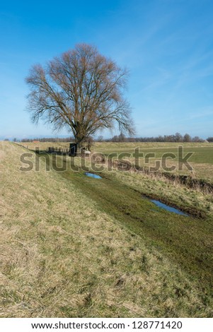 Bare tree with a small and primitive wooden hut in an agriculture landscape.