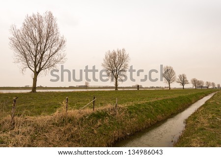 Dutch landscape with bare trees crossed by a ditch.