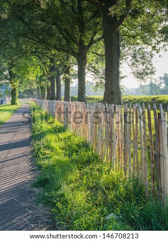 Wooden fence in early morning back lighting.