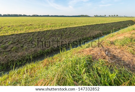 Countryside in the Netherlands with a ditch and dried mown grass cuttings at the bank.