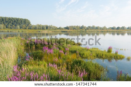 Colorful landscape in summer with a mirror smooth water surface and a large biodiversity.