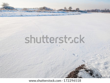 Small natural pond with ice covered with snow and mysterious footprints in a Dutch nature reserve.