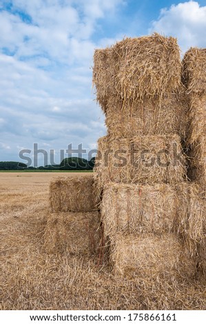 Closeup of just harvested packs of straw stacked on each other on a stubble field.