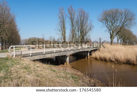 Dutch polder landscape with a stream with brown water and golden reed plants growing on the banks.