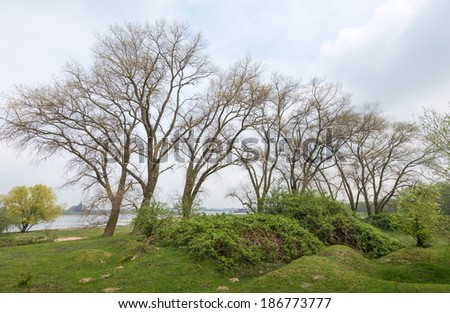 In the hilly landscape near the Dutch river large trees budding in the spring season.